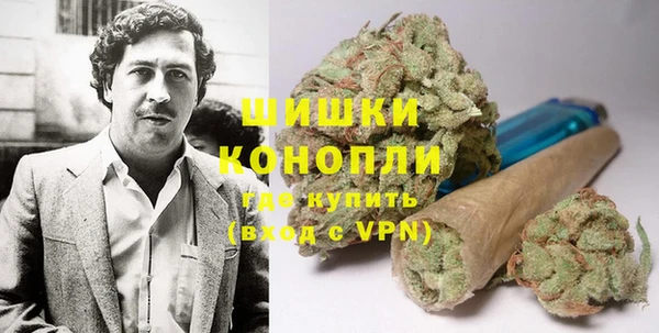 дурь Пестово