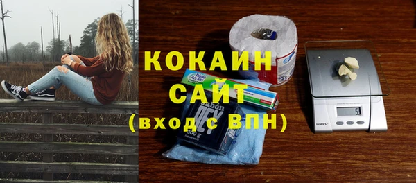 крисы Переславль-Залесский