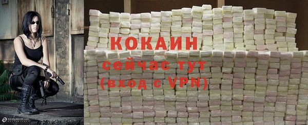 дурь Пестово
