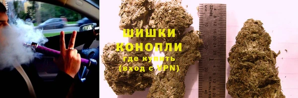 ГАЛЛЮЦИНОГЕННЫЕ ГРИБЫ Остров