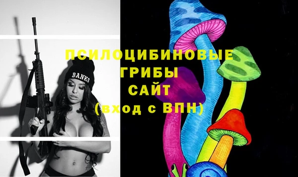 героин Пересвет