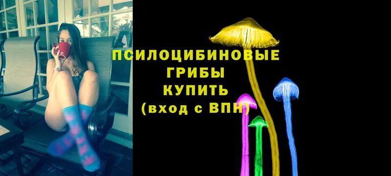 Псилоцибиновые грибы Cubensis Павловский Посад