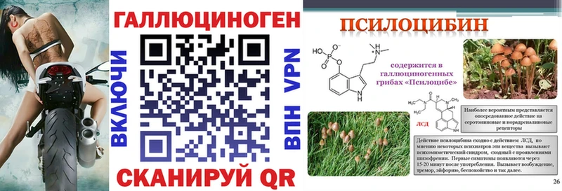 купить   Павловский Посад  omg рабочий сайт  Псилоцибиновые грибы Cubensis 