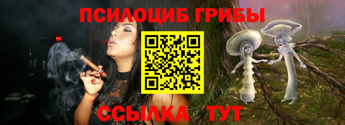 Псилоцибиновые грибы Psilocybe  дарнет шоп  Павловский Посад  Галлюциногенные грибы MAGIC MUSHROOMS 