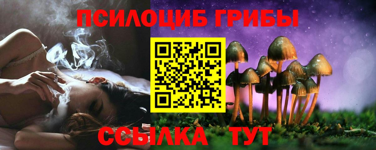 Галлюциногенные грибы Psilocybe Павловский Посад